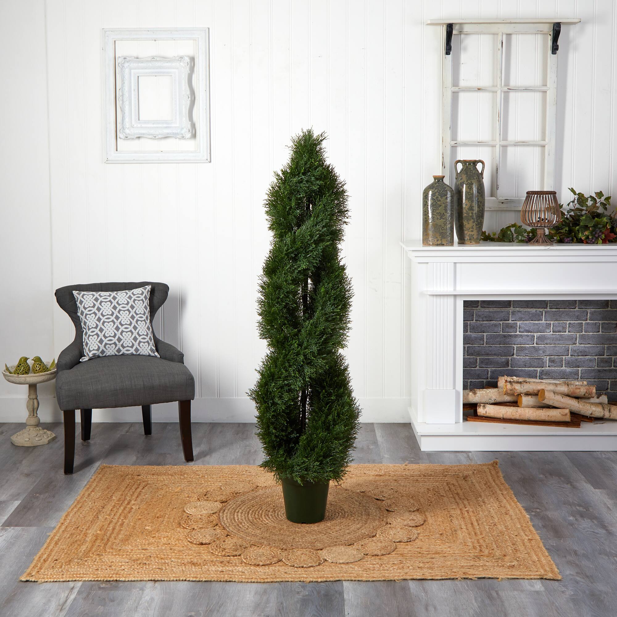 5ft. Potted Double Pond Cypress Spiral Topiary Tree
